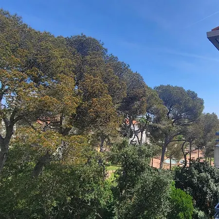 2 With Pool And Balcony In Apartment Frejus